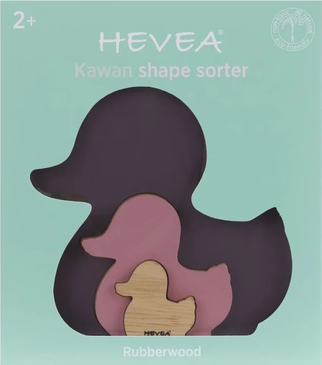 Hevea fiolet1.png