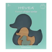 Hevea2.webp
