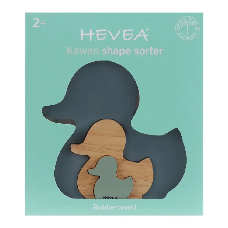 Hevea2.webp